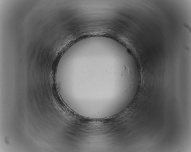 X0000101660354200807101030