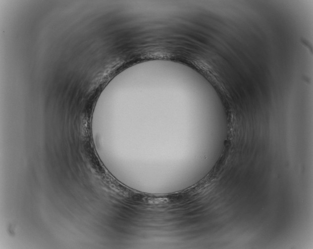 X0000101660355200807101030