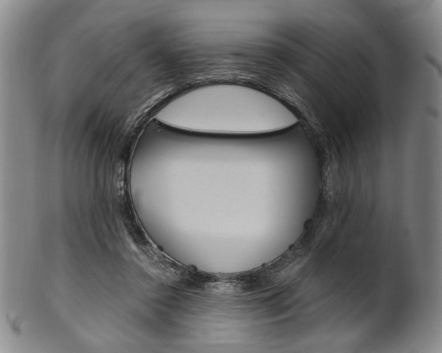 X0000101660356200807101030