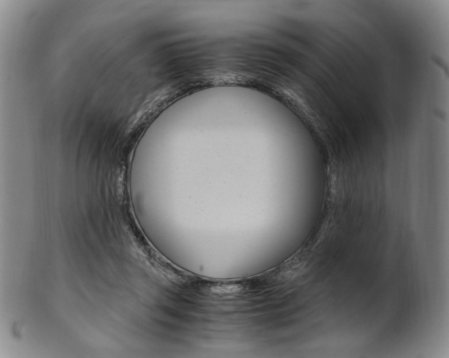 X0000101660357200807101030