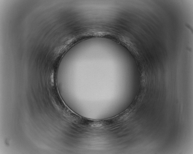 X0000101660358200807101031