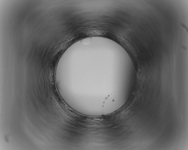 X0000101660359200807101031