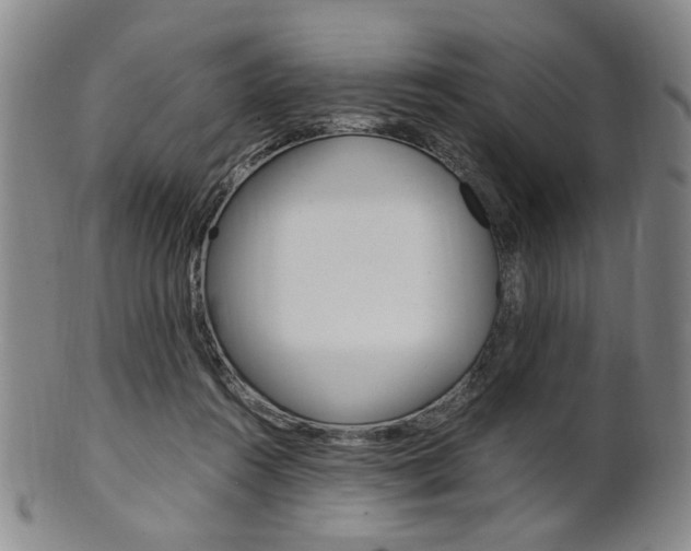 X0000101660360200807101031