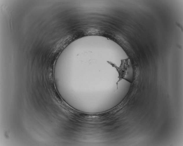 X0000101660361200807101031
