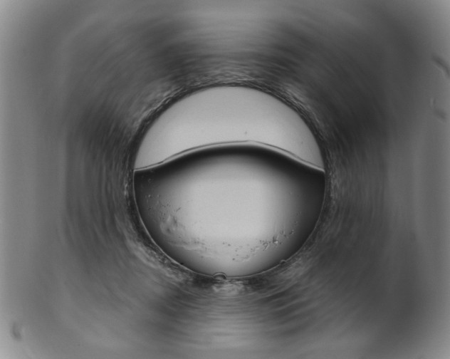 X0000101660362200807101031