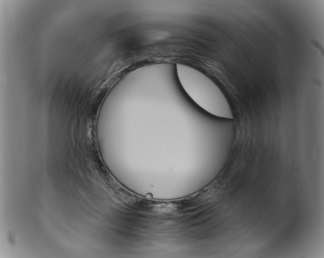 X0000101660363200807101031