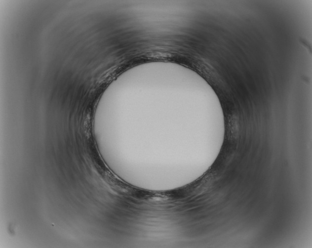 X0000101660364200807101031