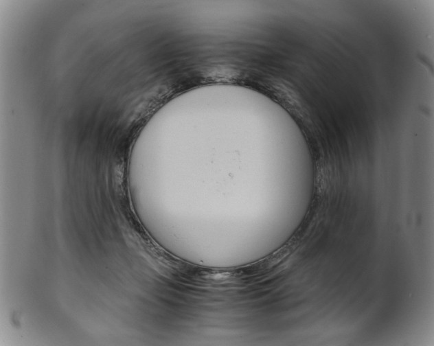 X0000101660365200807101031