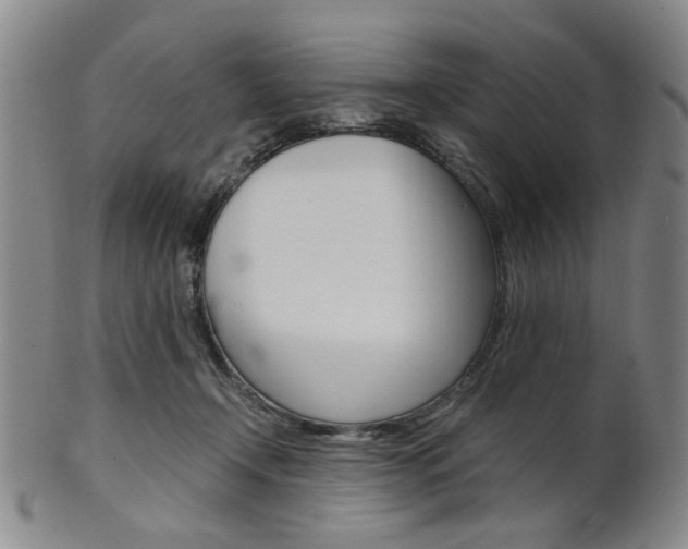 X0000101660366200807101031