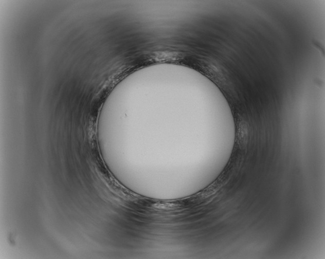 X0000101660367200807101031