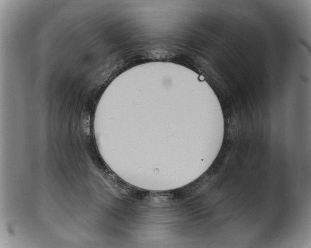X0000101660368200807101031