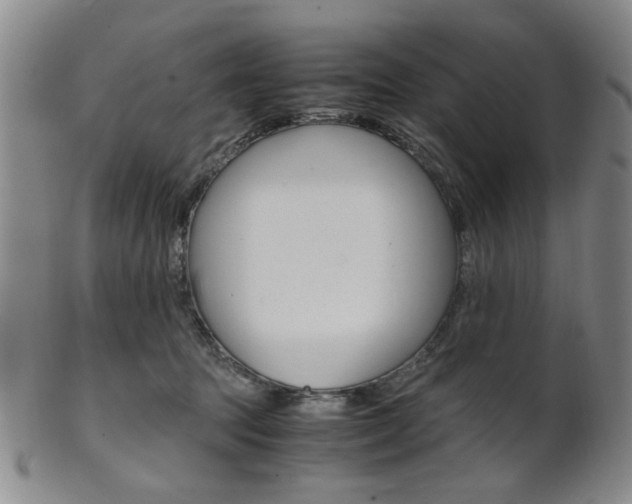 X0000101660369200807101031