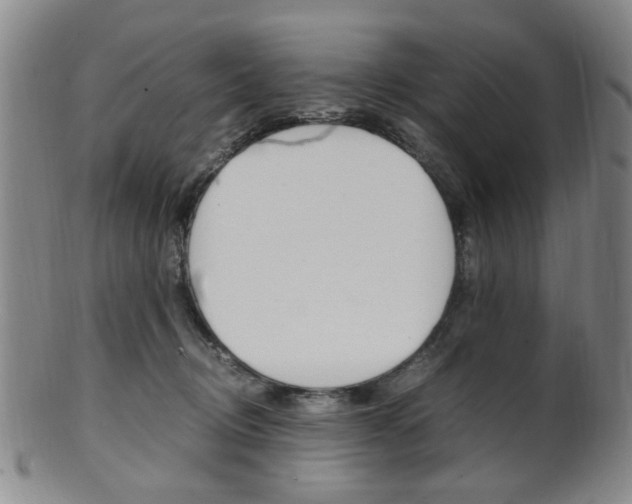 X0000101660370200807101031