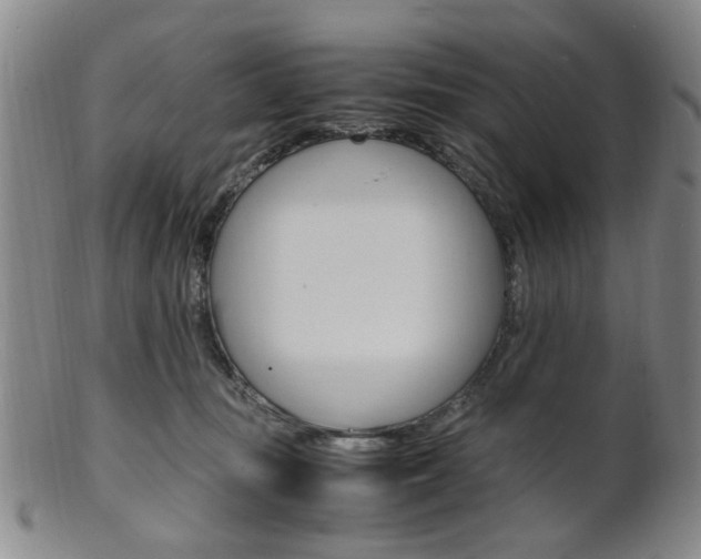 X0000101660371200807101031