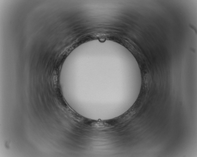 X0000101660372200807101031