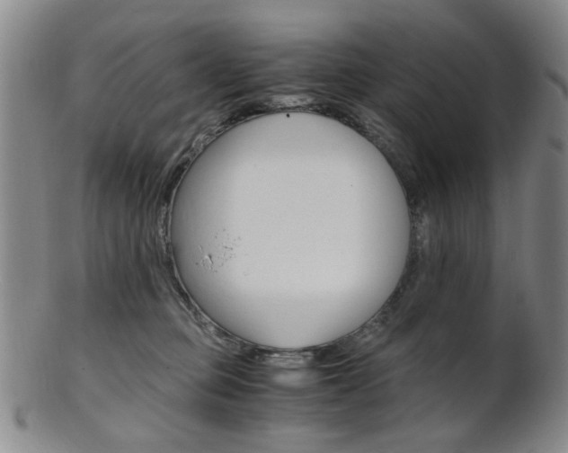 X0000101660373200807101031