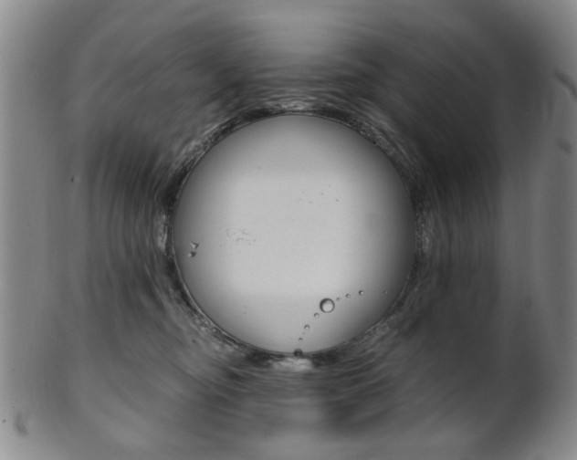 X0000101660374200807101031
