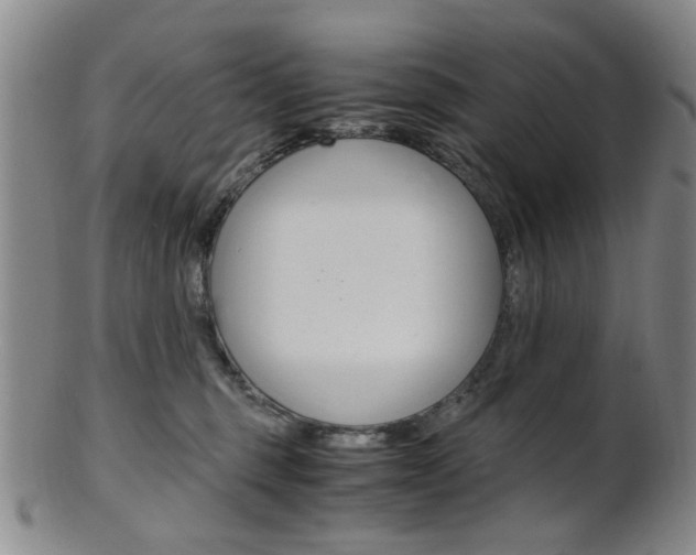 X0000101660375200807101031