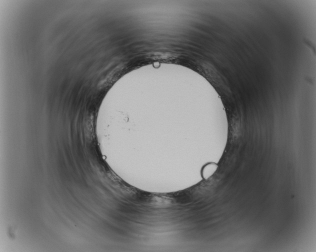 X0000101660376200807101031