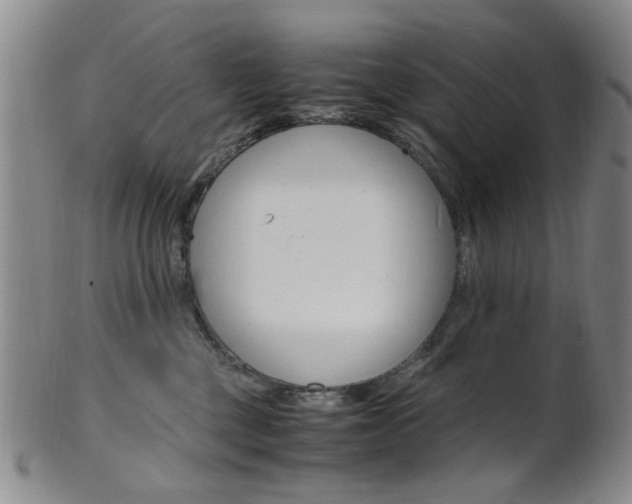 X0000101660377200807101031