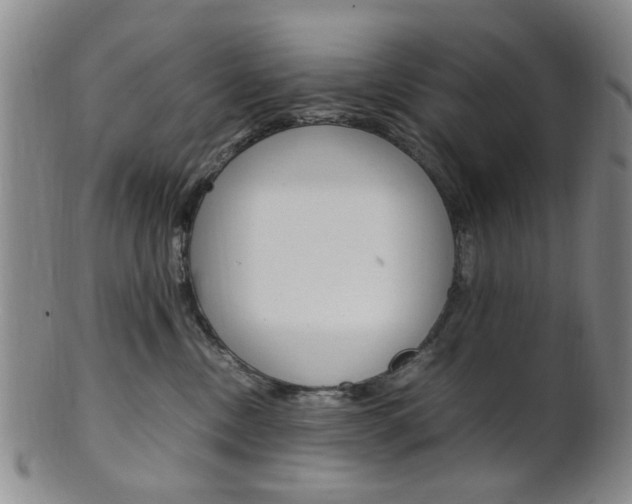 X0000101660378200807101031
