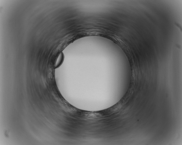 X0000101660379200807101031