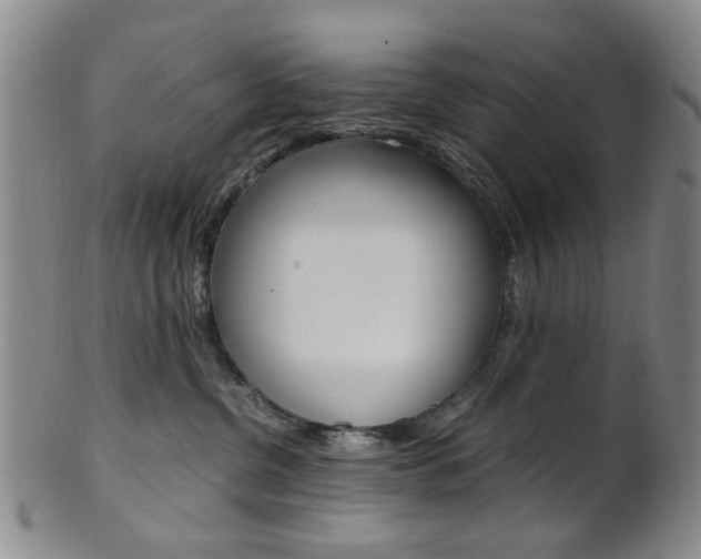 X0000101660380200807101031