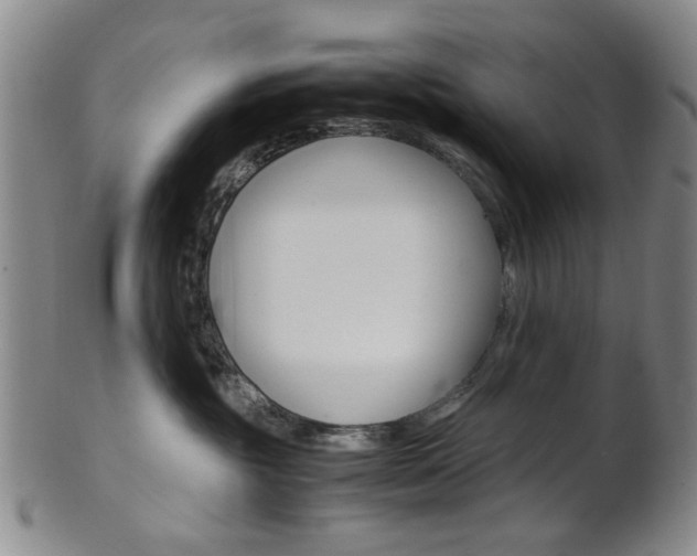 X0000101660381200807101031