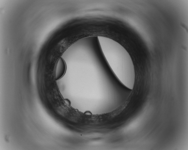 X0000101660383200807101031