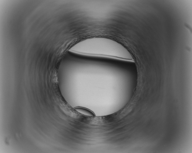 X0000101660384200807101031