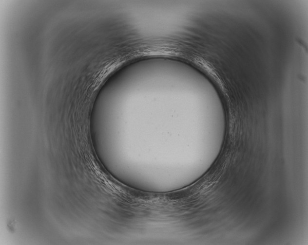 X0000101660385200807101030