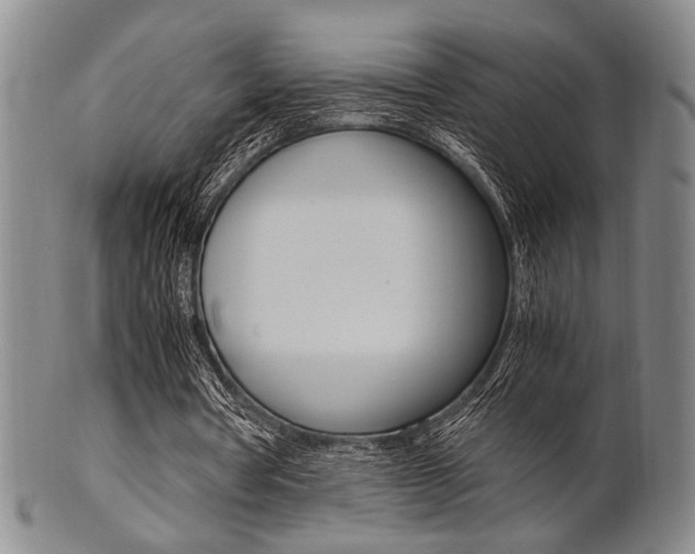 X0000101660386200807101030