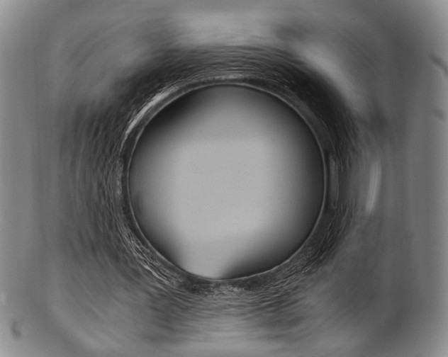 X0000101660387200807101030