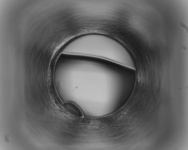 X0000101660388200807101030