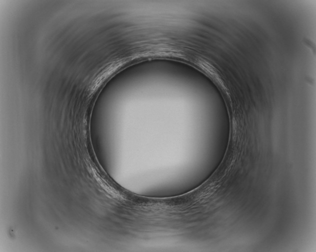 X0000101660389200807101030