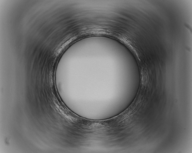 X0000101660390200807101030