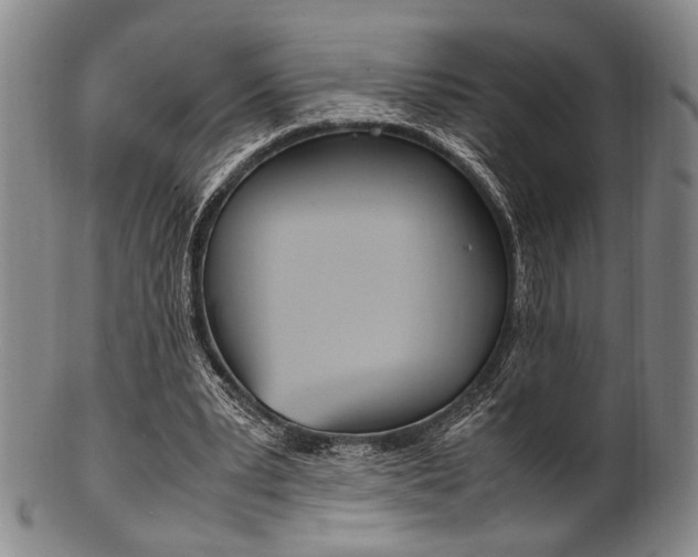 X0000101660391200807101030