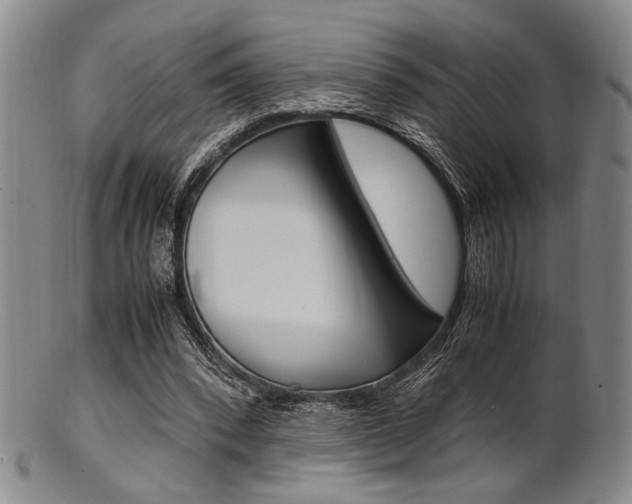 X0000101660392200807101030
