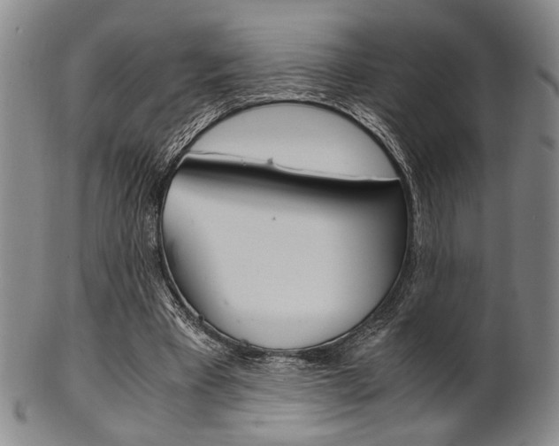 X0000101660393200807101030
