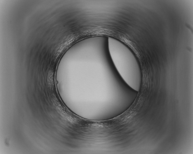 X0000101660394200807101030