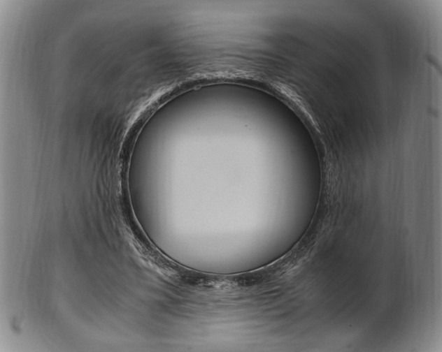 X0000101660395200807101030