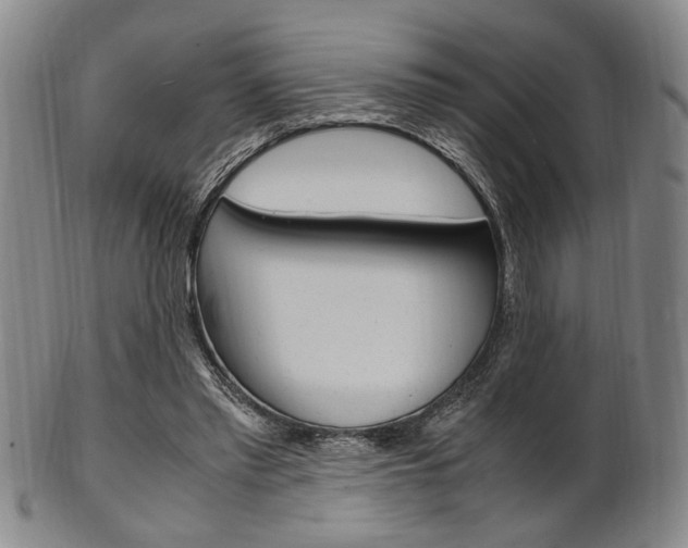 X0000101660397200807101030