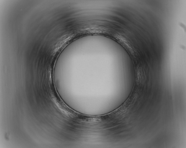 X0000101660398200807101030