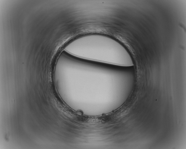 X0000101660399200807101030