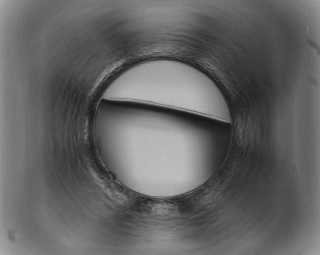 X0000101660400200807101030