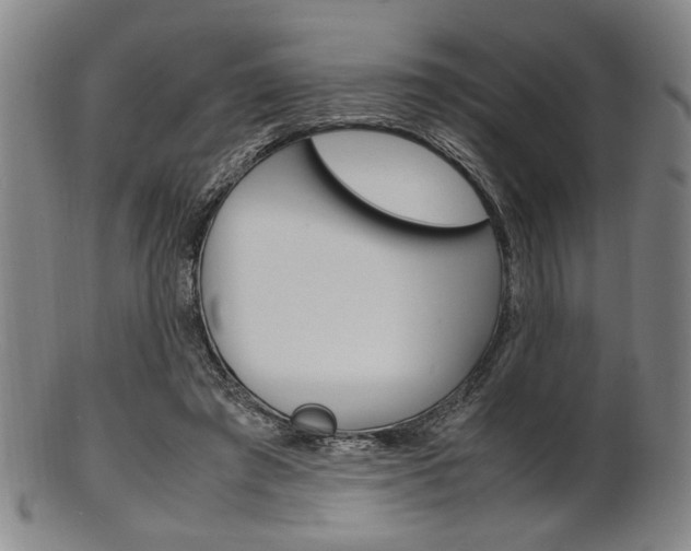 X0000101660401200807101030