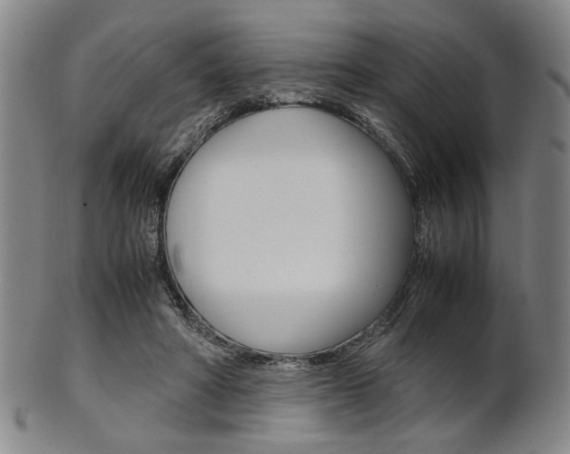 X0000101660402200807101030