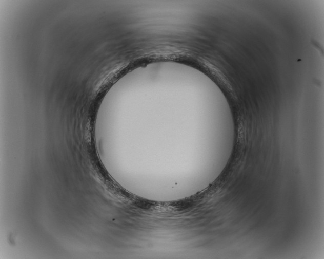 X0000101660403200807101030