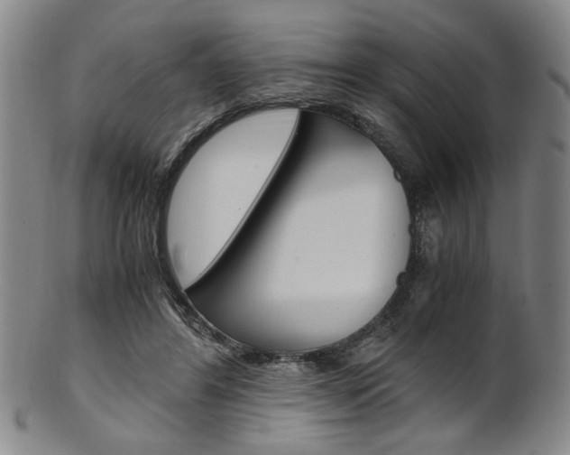 X0000101660404200807101030