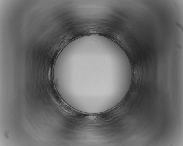 X0000101660406200807101030